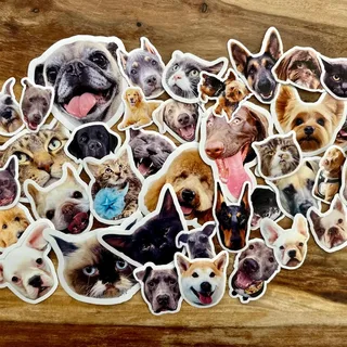Custom Pet Stickers