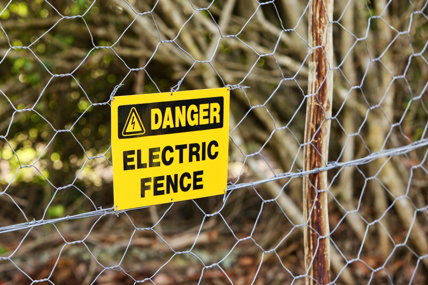 Choosing the Right Fence Company and Intercom Systems in Cape Town: A Complete Guide to Modern Property Security