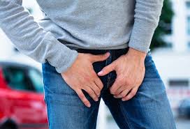 Herbal Remedies Used in Traditional Medicine for Male Infections