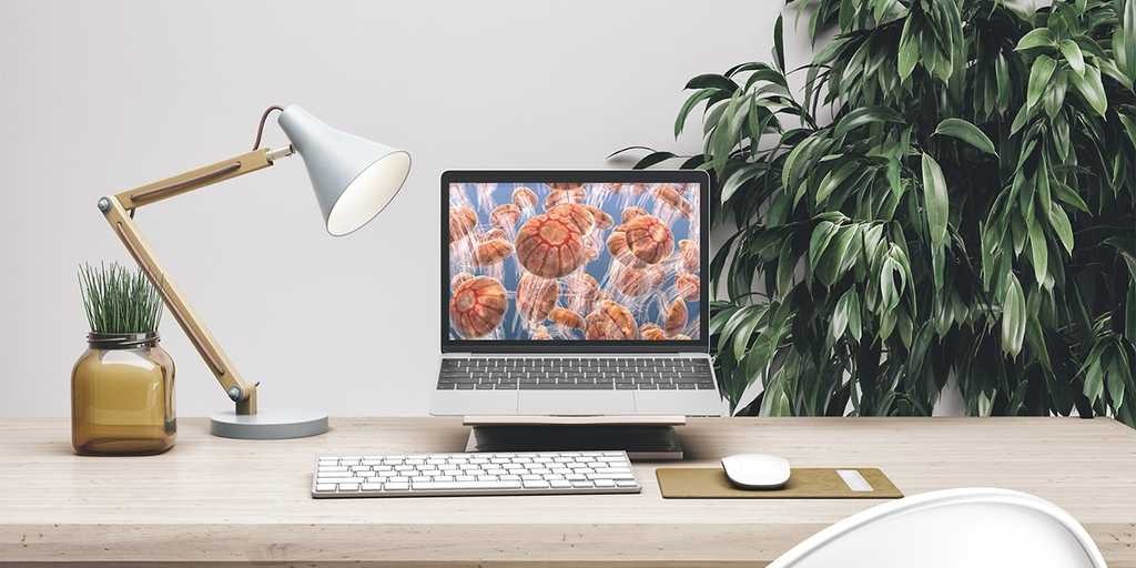 What Are the Advantages of Website Designing Dubai for Companies?