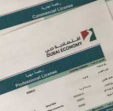 Professional Service License in Fujairah