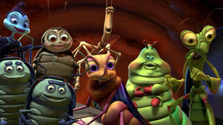 bed bugs