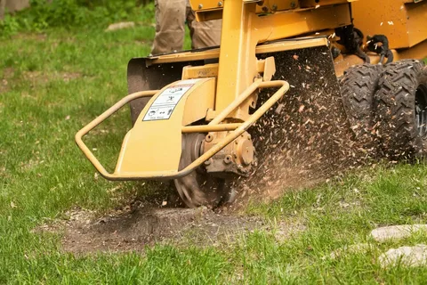 local stump grinding services