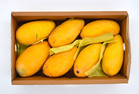Dry Mango in Pakistan