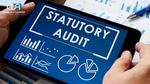 Statutory Audit